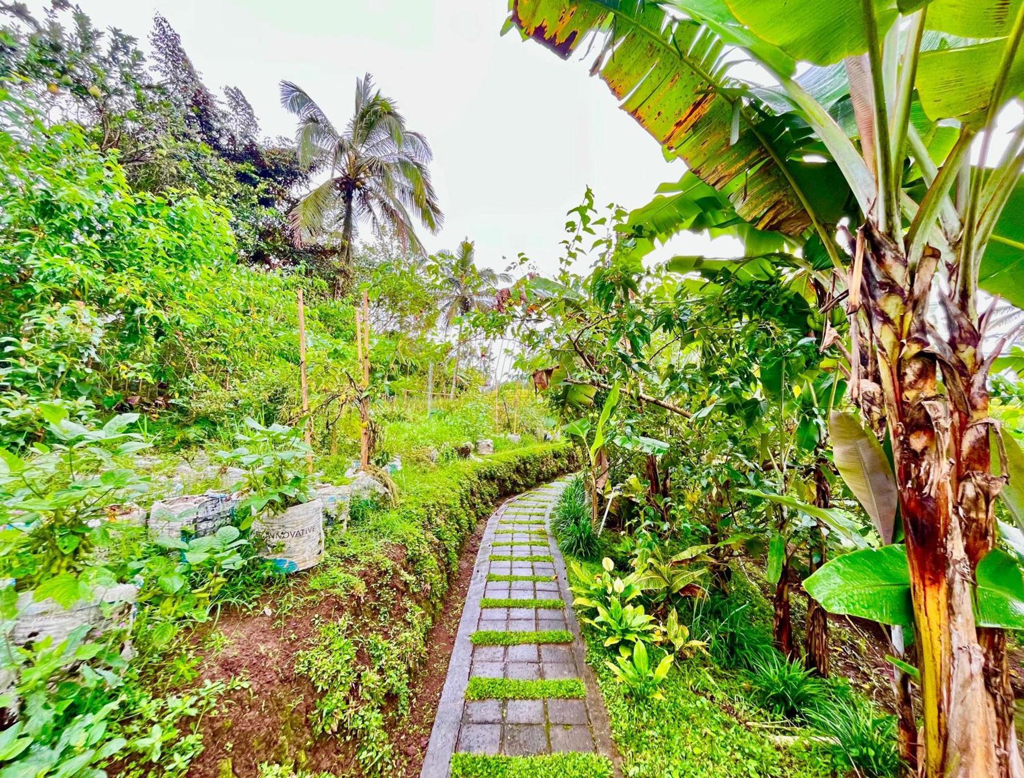 Pondok Is Oke Villa Scenic View Banyuwangi  Extérieur photo