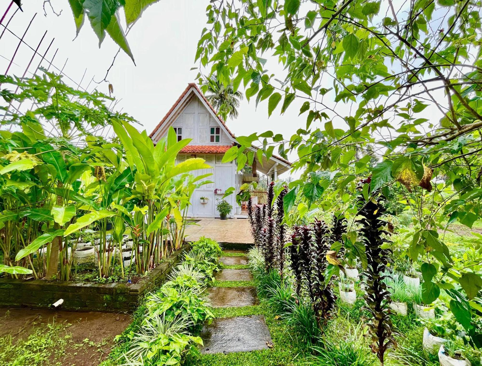 Pondok Is Oke Villa Scenic View Banyuwangi  Extérieur photo