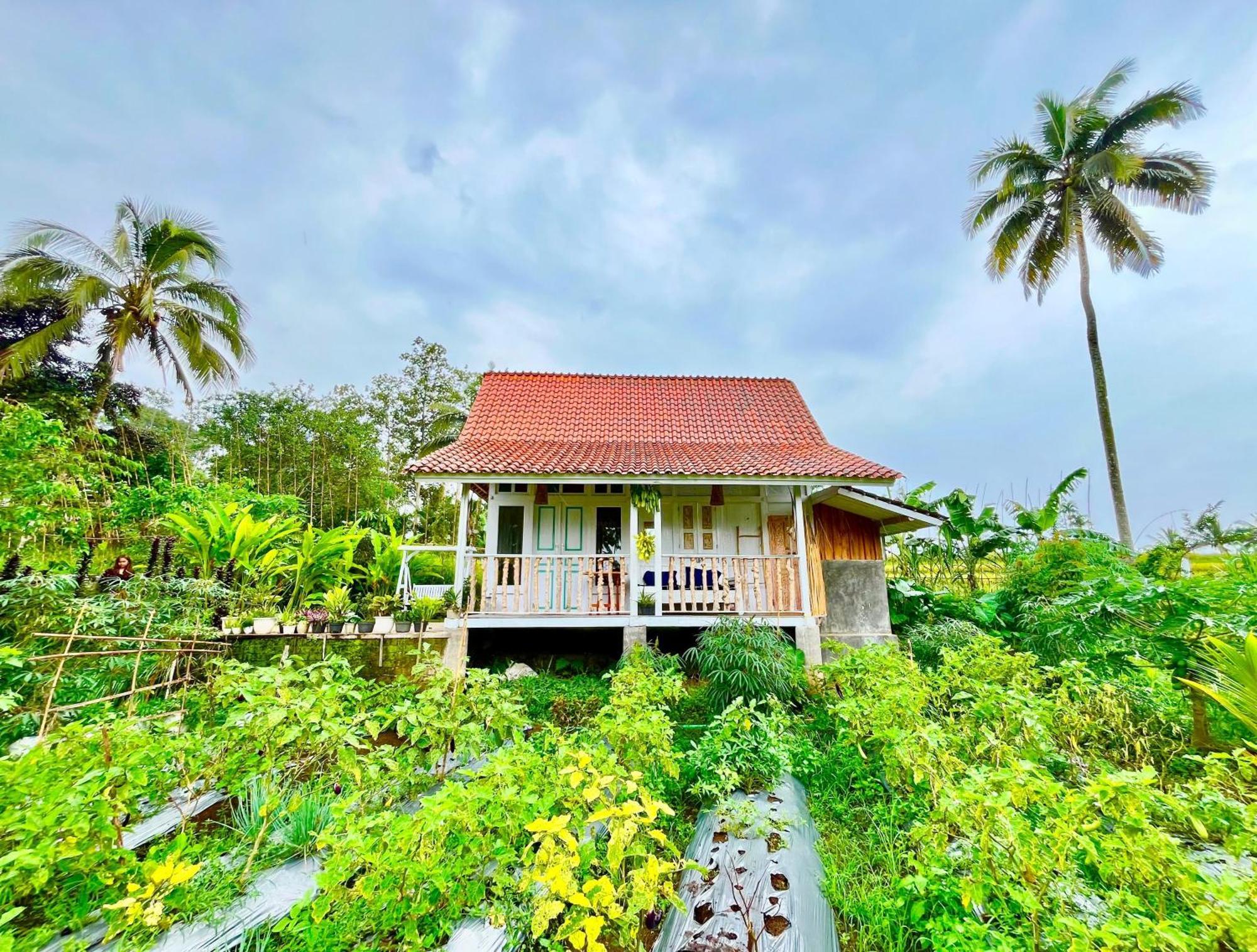 Pondok Is Oke Villa Scenic View Banyuwangi  Extérieur photo