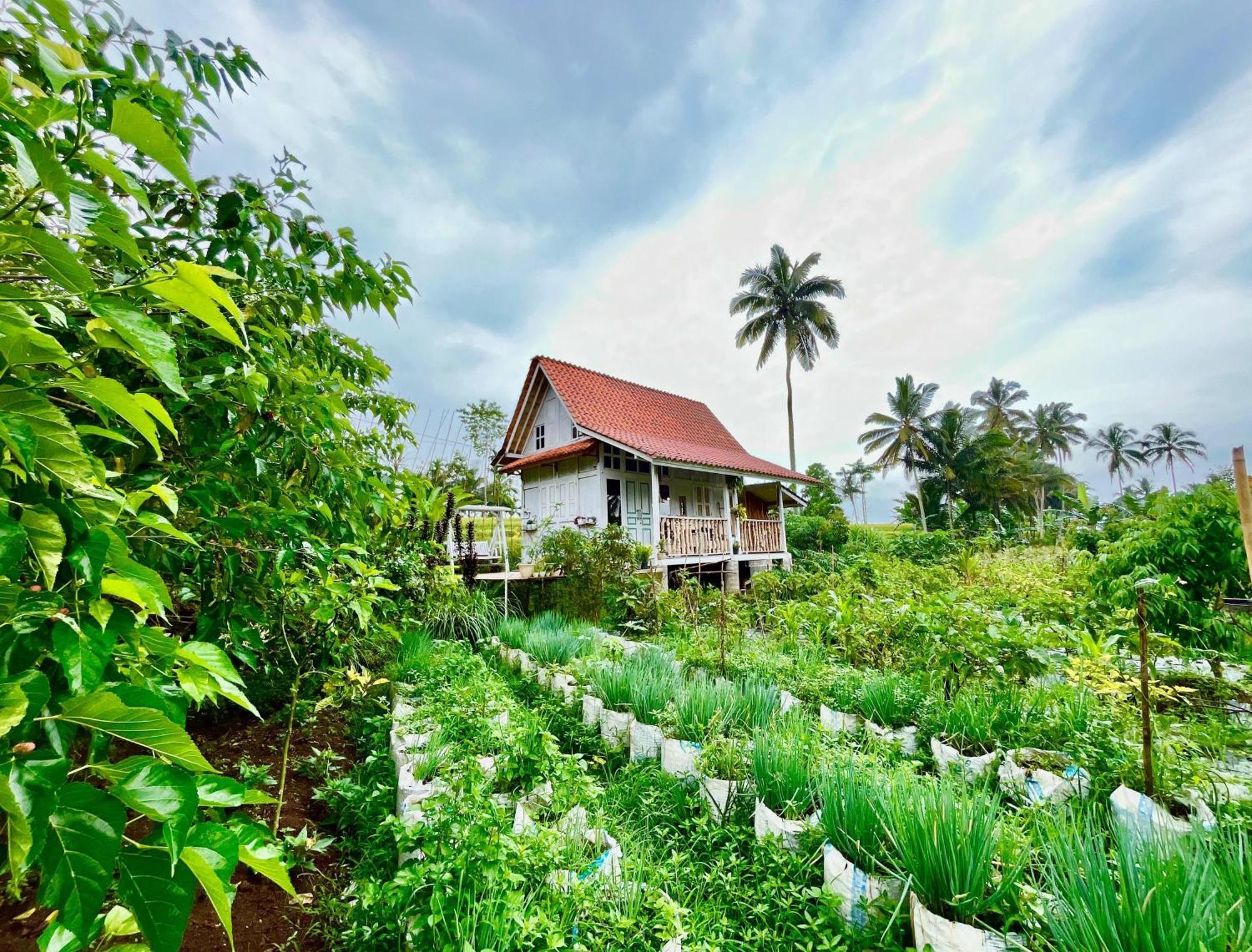 Pondok Is Oke Villa Scenic View Banyuwangi  Extérieur photo