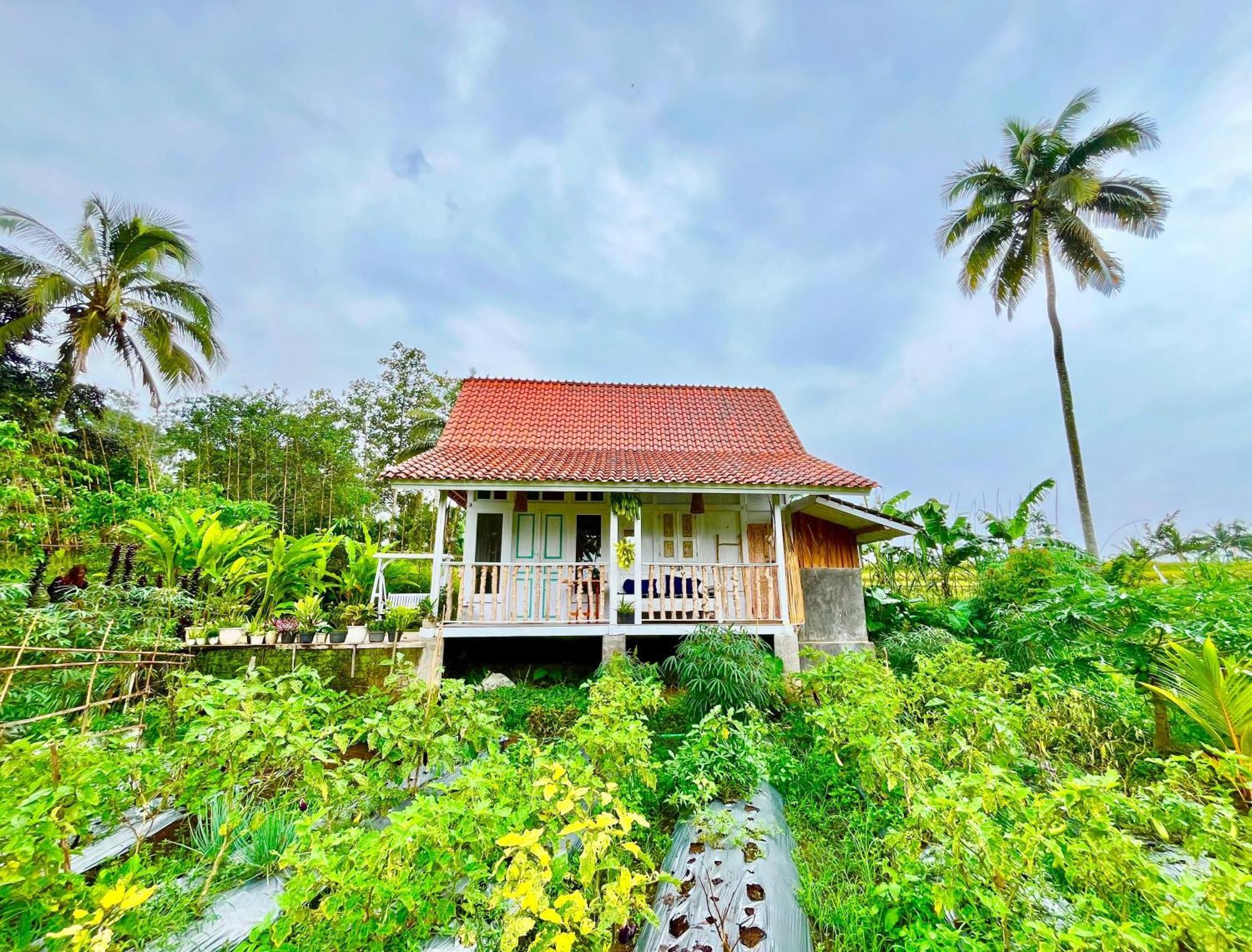 Pondok Is Oke Villa Scenic View Banyuwangi  Extérieur photo