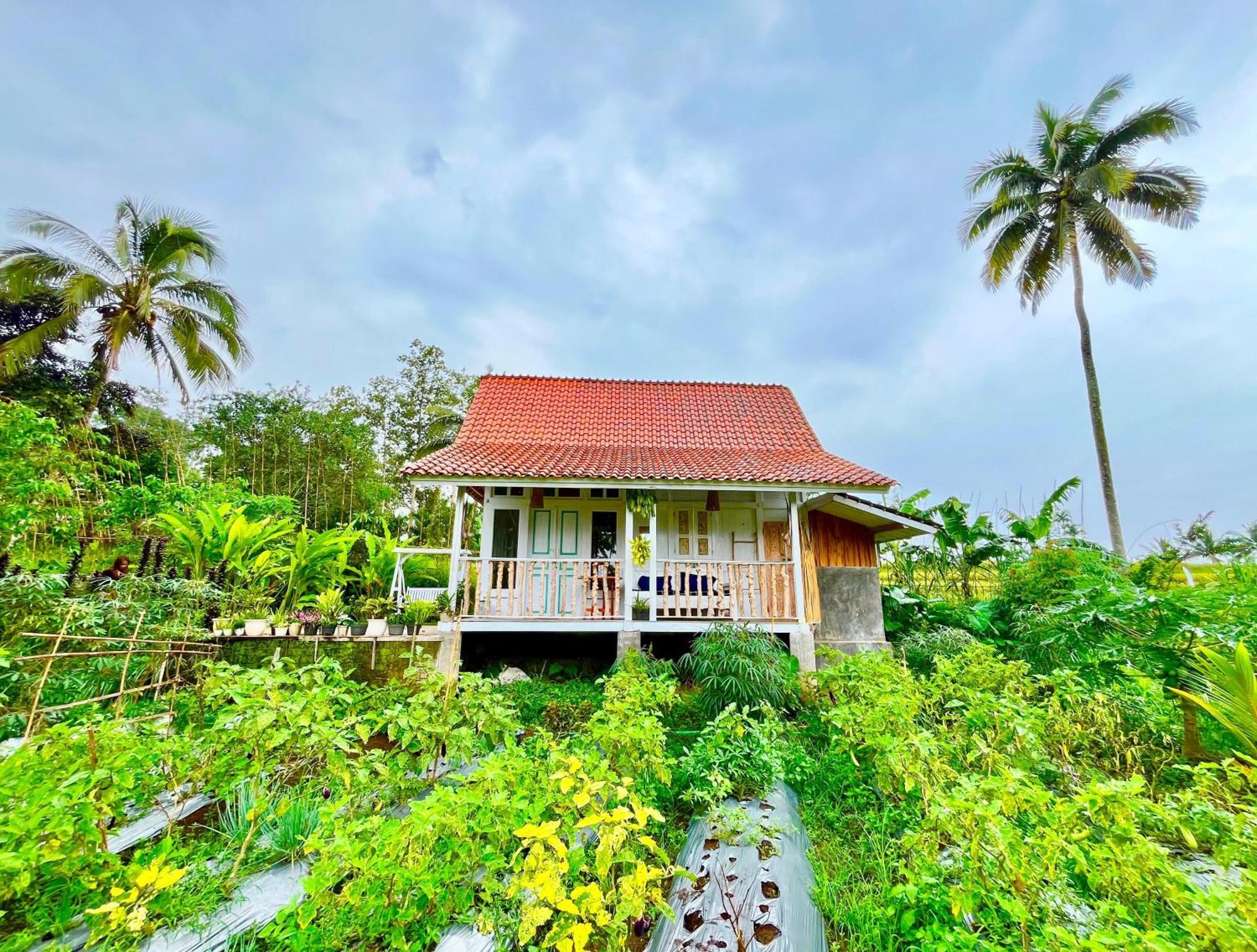 Pondok Is Oke Villa Scenic View Banyuwangi  Extérieur photo
