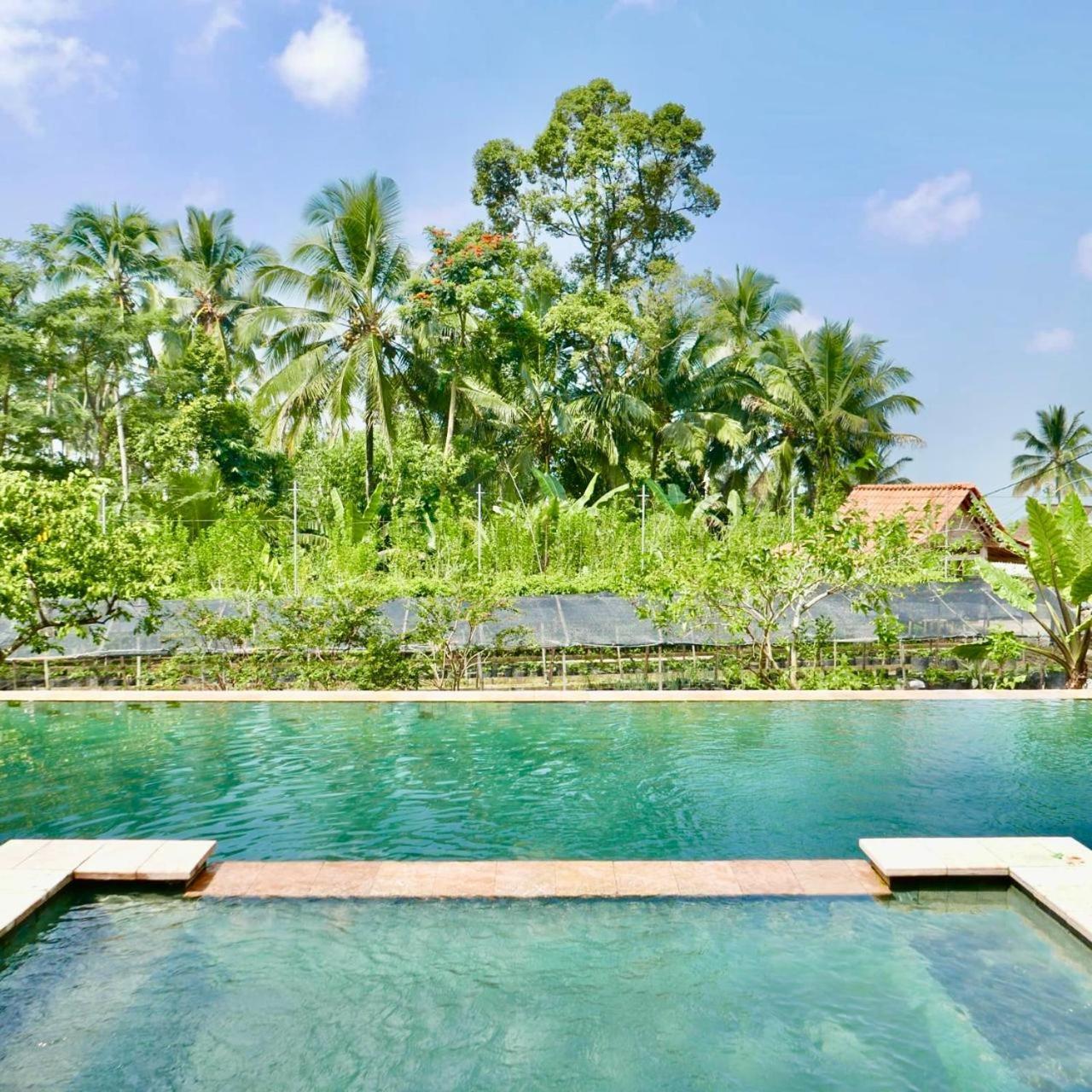 Pondok Is Oke Villa Scenic View Banyuwangi  Extérieur photo