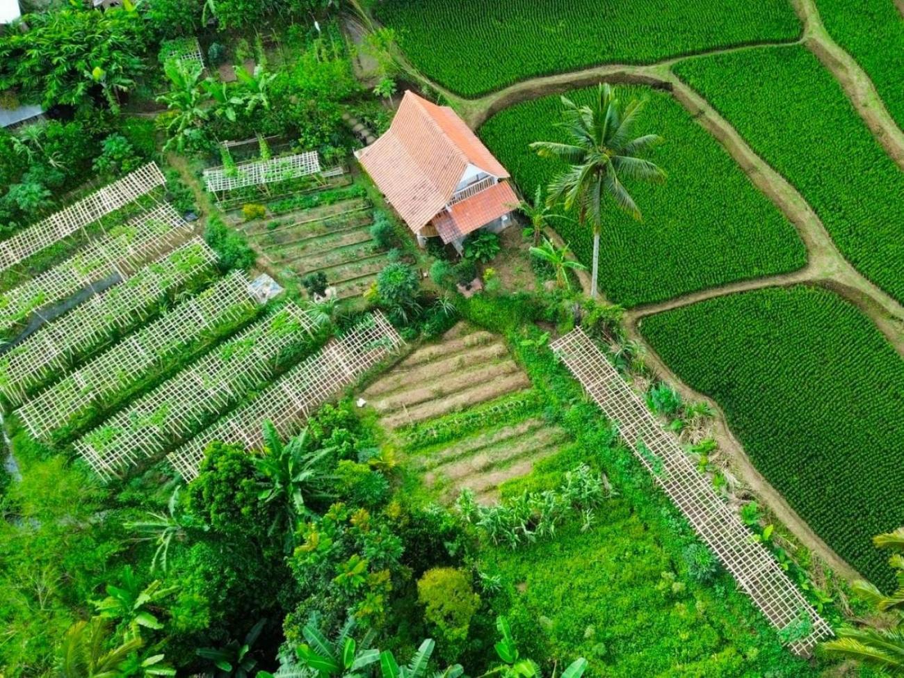 Pondok Is Oke Villa Scenic View Banyuwangi  Extérieur photo