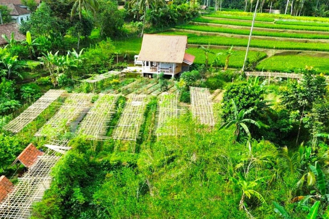 Pondok Is Oke Villa Scenic View Banyuwangi  Extérieur photo