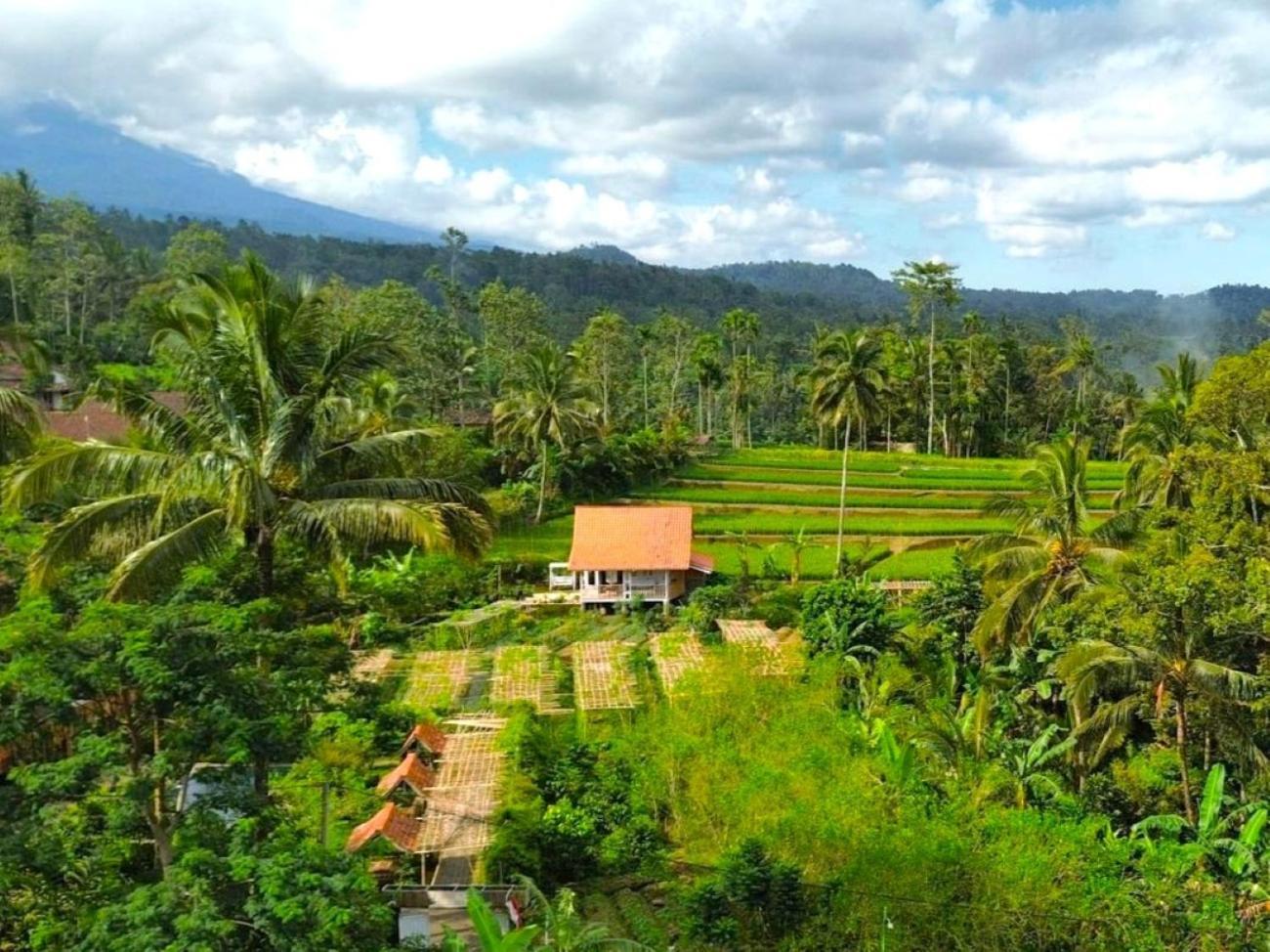 Pondok Is Oke Villa Scenic View Banyuwangi  Extérieur photo