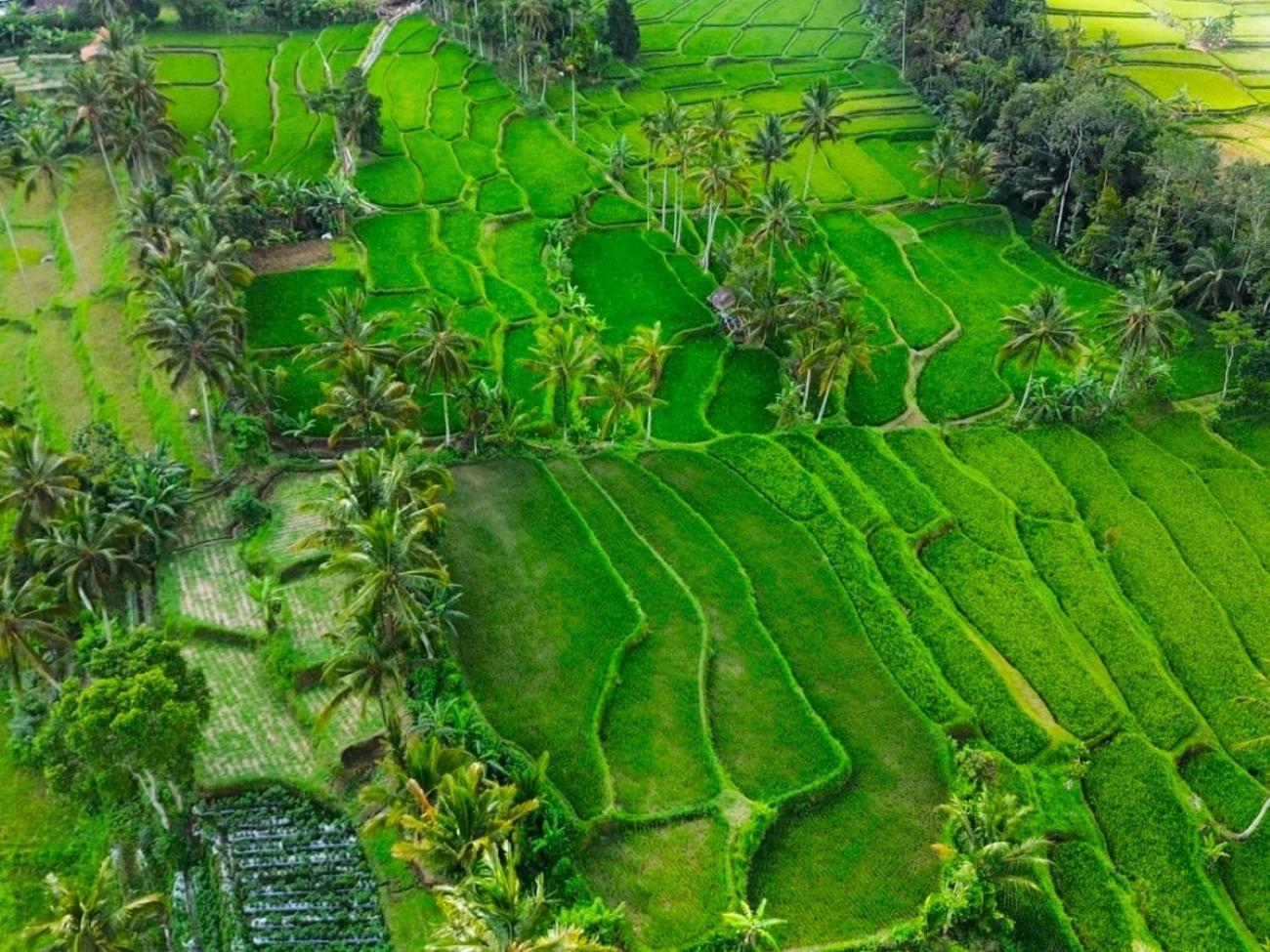 Pondok Is Oke Villa Scenic View Banyuwangi  Extérieur photo