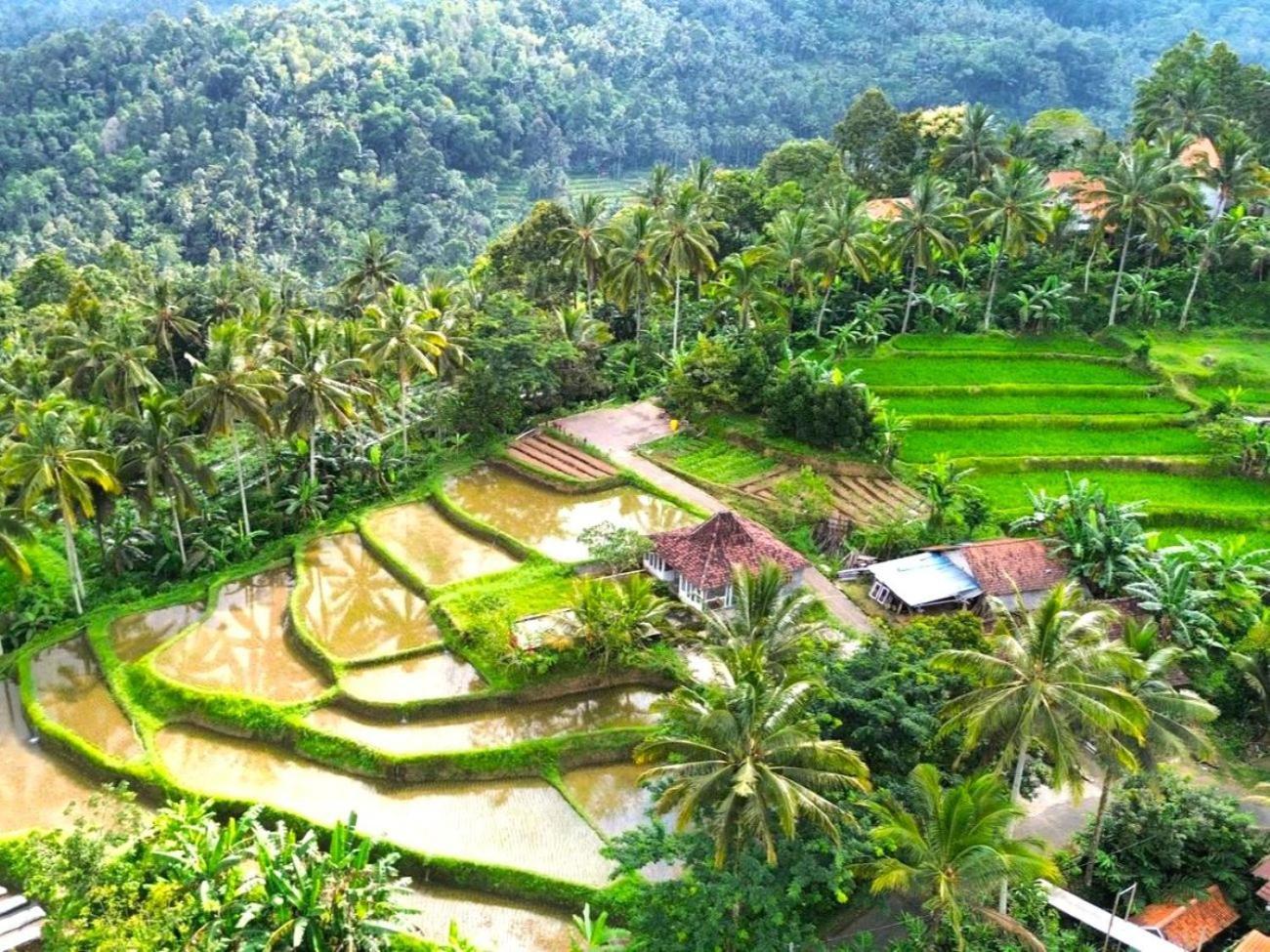 Pondok Is Oke Villa Scenic View Banyuwangi  Extérieur photo