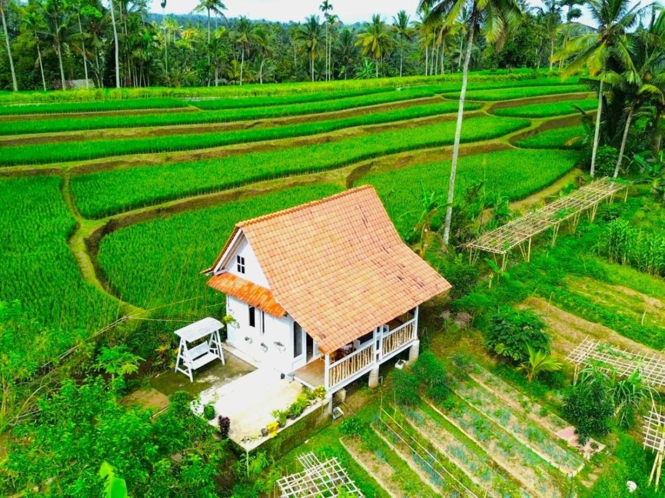Pondok Is Oke Villa Scenic View Banyuwangi  Extérieur photo